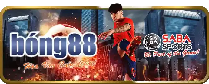 Mẹo bảo mật tài khoản 88xx